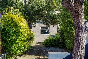 Photo 21- click for photo gallery